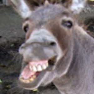 Meet your Posher, Jeff